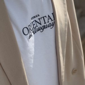 Remera bordada (oversize)